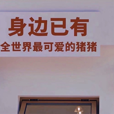 宠物包扎知识
